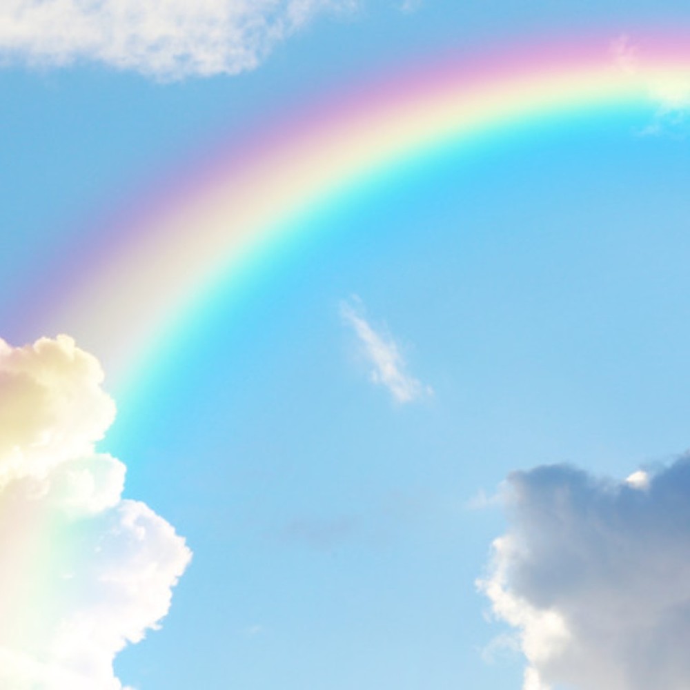 Meet your Posher, Imelda